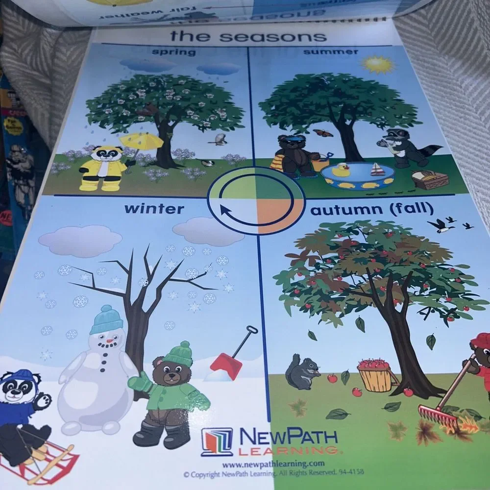 New Path Weather &‎ Sky Early Childhood Science Flip Charts